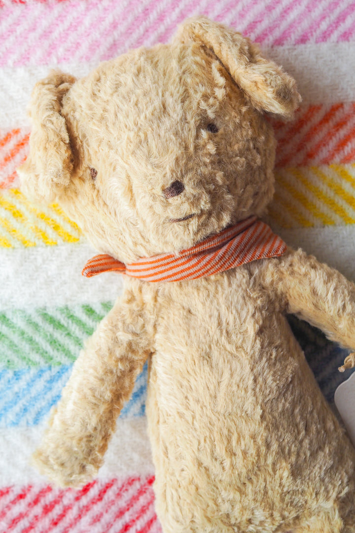 Maileg Dog Plush Toy